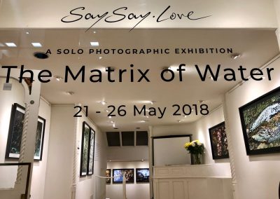 SaySay-FineArt-Exhibitions-Coningsby-Vernissage-50